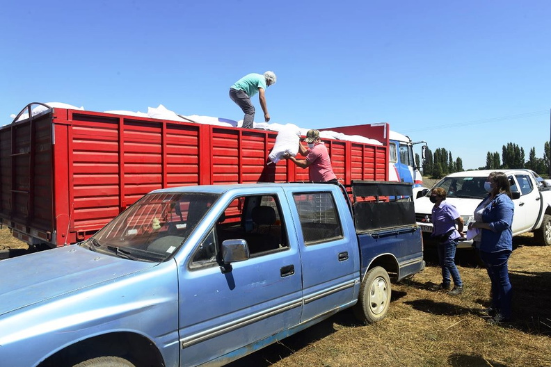 Entrega de 1.225 sacos de pellets de alfalfa para el ganado de 49 agricultores 26-01-2022-2 (13)