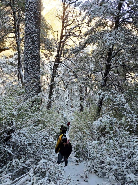Trekking en la nieve ruta Los Pangues y Cascada Rucapiren 12-06-2023 (15)
