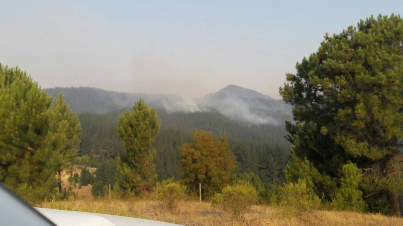 Alcalde de Pinto visita comunas afectadas por los incendios forestales 30-01-2017 (8)