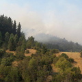 Alcalde de Pinto visita comunas afectadas por los incendios forestales 30-01-2017 (9)