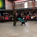 Carabineros de Chillán exhibe ejercicios de adiestramiento de sus perros en Escuela Puerta de la Cordillera de Pinto 24-04-2017 (6)
