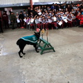 Carabineros de Chillán exhibe ejercicios de adiestramiento de sus perros en Escuela Puerta de la Cordillera de Pinto 24-04-2017 (10)