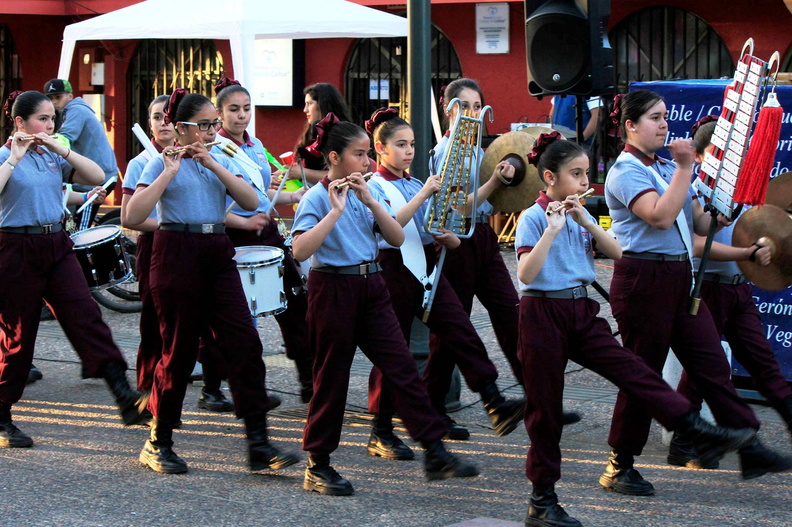 Muestra de bandas de guerra de Escuelas de la Provincia se realizó en la Comuna de Coihueco 30-10-2017 (5)