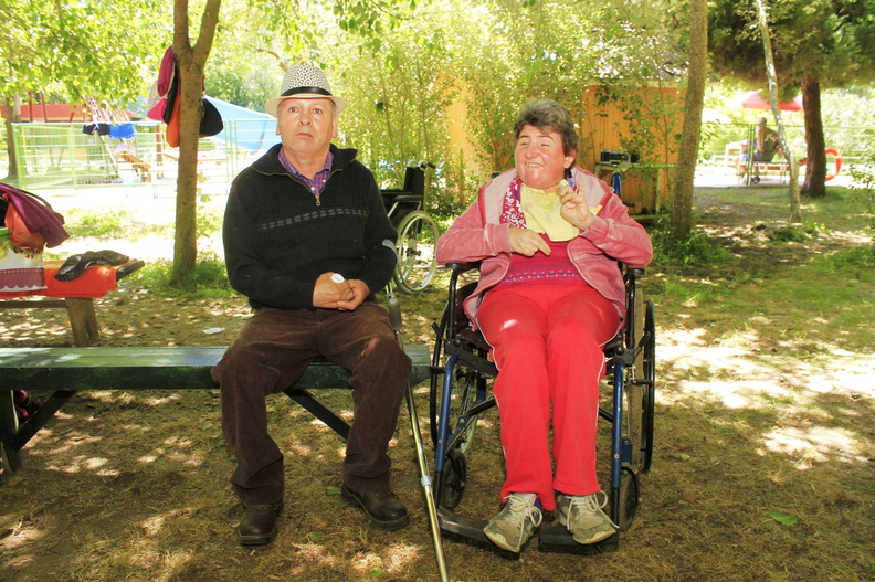 Agrupación de Discapacitados Pre-Cordillera realizó paseo de fin de año 11-12-2017 (2).jpg
