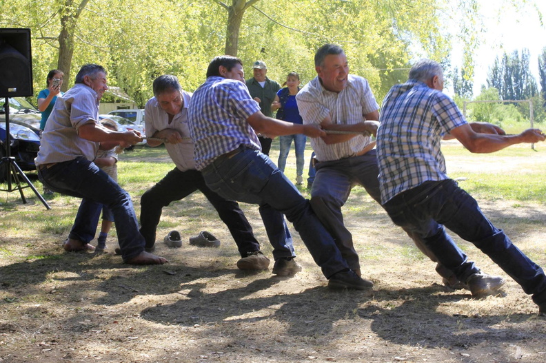 Fiesta de fin de año de los Agricultores de la Comuna fue realizada en el Camping Los Boldos 13-12-2017 (20)