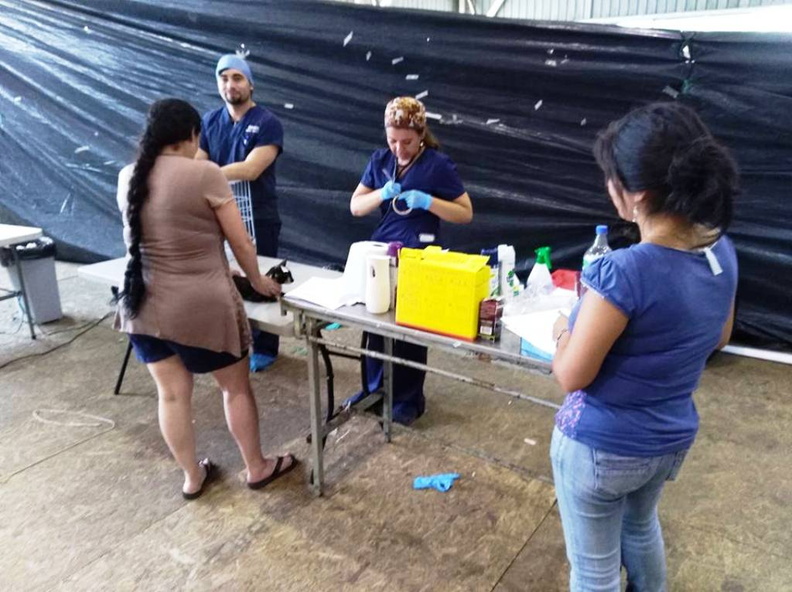 En el Gimnasio Municipal se realizó el operativo de esterilización con más de 150 mascotas de la Comuna de Pinto 20-01-2018 (2)