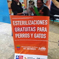 En el Gimnasio Municipal se realizó el operativo de esterilización con más de 150 mascotas de la Comuna de Pinto 20-01-2018 (1)
