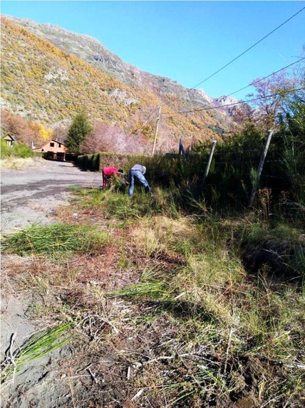 Vecinos del sector de Las Trancas realizan labores de limpieza de caminos 23-05-2018 (2).jpg