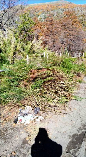 Vecinos del sector de Las Trancas realizan labores de limpieza de caminos 23-05-2018 (5)