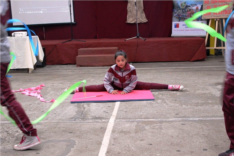 Escuela Puerta de la Cordillera celebró Día Mundial del Medio Ambiente 13-06-2018 (5)