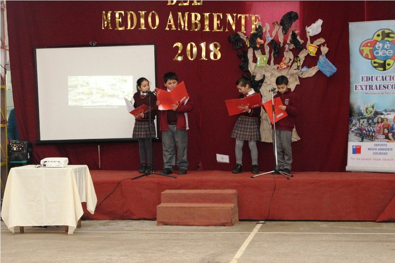 Escuela Puerta de la Cordillera celebró Día Mundial del Medio Ambiente 13-06-2018 (8).jpg