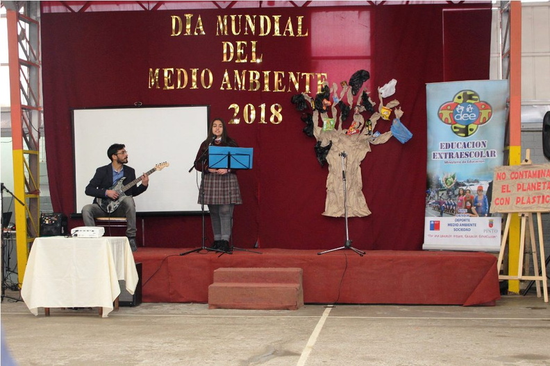 Escuela Puerta de la Cordillera celebró Día Mundial del Medio Ambiente 13-06-2018 (25)