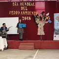Escuela Puerta de la Cordillera celebró Día Mundial del Medio Ambiente 13-06-2018 (25)