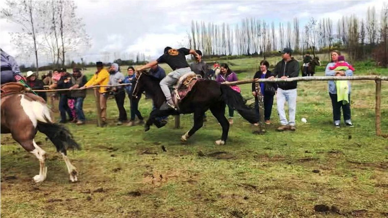Carreras a la Chilena fueron celebradas en el Parque Ramadero 23-09-2018 (1).jpg