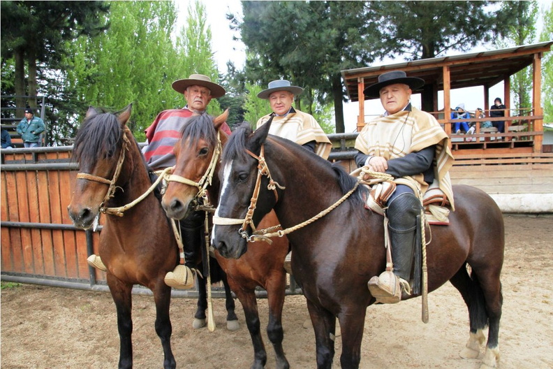 Rodeo de la Amistad en el marco del Aniversario 158º de Pinto 08-10-2018 (13).jpg