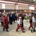 Agrupación Indígena de Chillán 09-10-2018 (21)