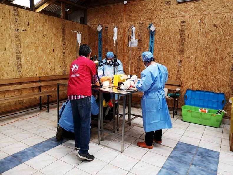 I. Municipalidad de Pinto realiza operativo de esterilización en Recinto 10-11-2018 (2).jpg