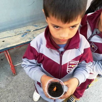Alumnos realizan almacigo en vasitos desechables en la Escuela Puerta de la Cordillera