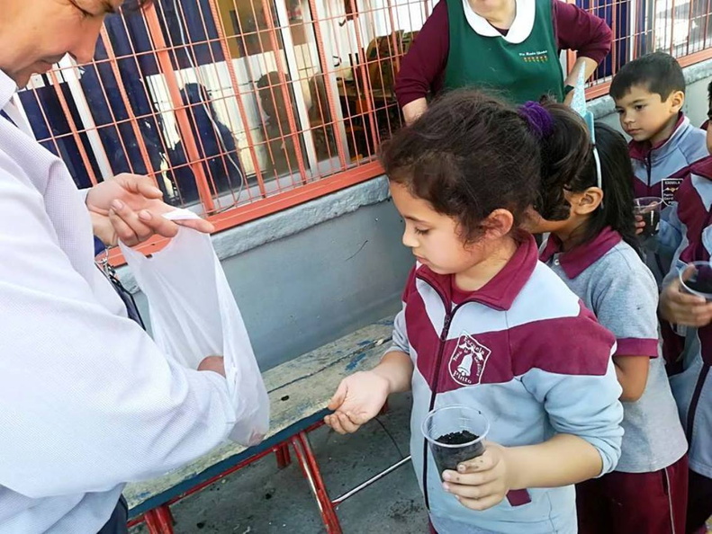 Alumnos realizan almacigo en vasitos desechables en la Escuela Puerta de la Cordillera 15-11-2018 (3)