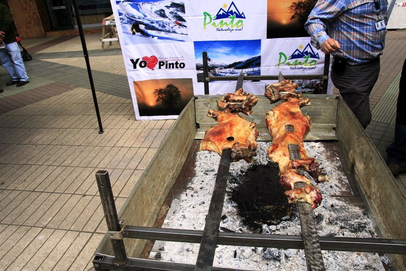 Expo-Ovina versión 2018 fue promocionada en el paseo Arauco de Chillán 15-11-2018 (10).jpg