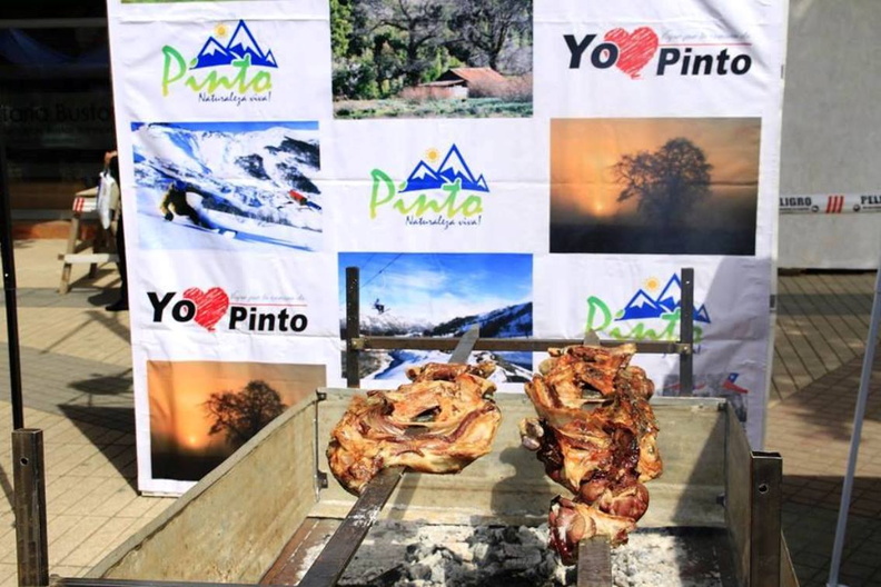 Expo-Ovina versión 2018 fue promocionada en el paseo Arauco de Chillán 15-11-2018 (12)