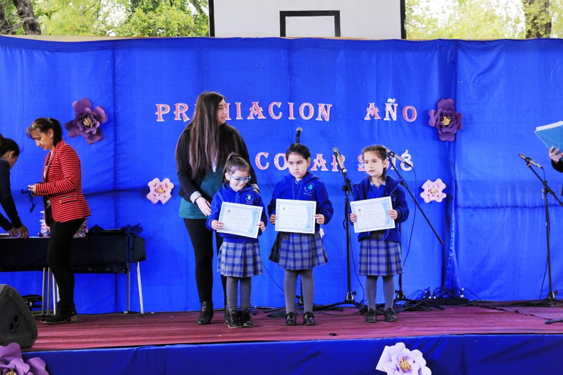 Premiación Escolar 2018 fue realizada en la Escuela Los Lleuques 13-12-2018 (3)