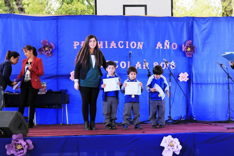 Premiación Escolar 2018 fue realizada en la Escuela Los Lleuques 13-12-2018 (9)