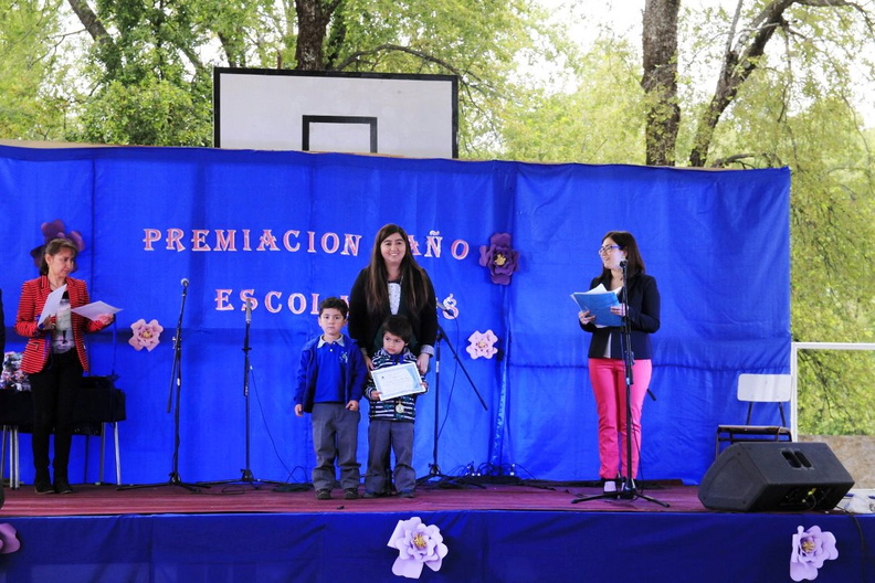 Premiación Escolar 2018 fue realizada en la Escuela Los Lleuques 13-12-2018 (12)