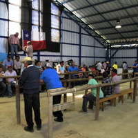 Cuadrangular de Rayuela fue celebrado en la cancha de rayuela de Los Gatica