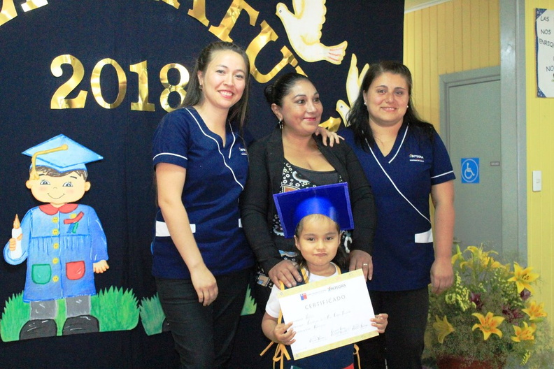Licenciatura de egreso medio mayor fue realizada en el jardín infantil Petetin 09-01-2019 (14)