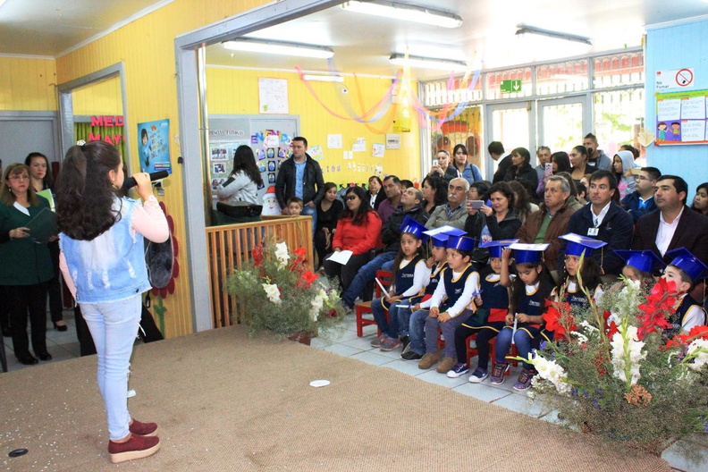 Licenciatura de egreso medio mayor fue realizada en el jardín infantil Petetin 09-01-2019 (29)