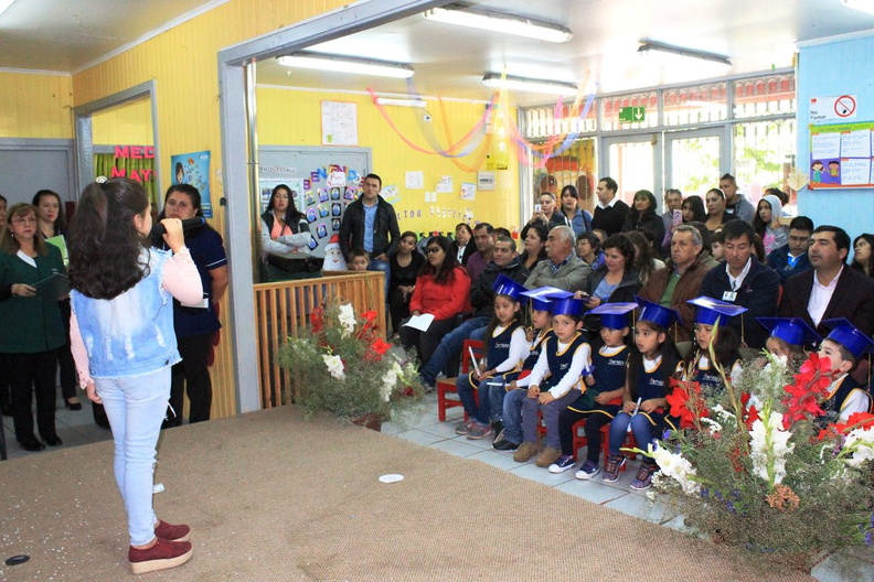 Licenciatura de egreso medio mayor fue realizada en el jardín infantil Petetin 09-01-2019 (30)