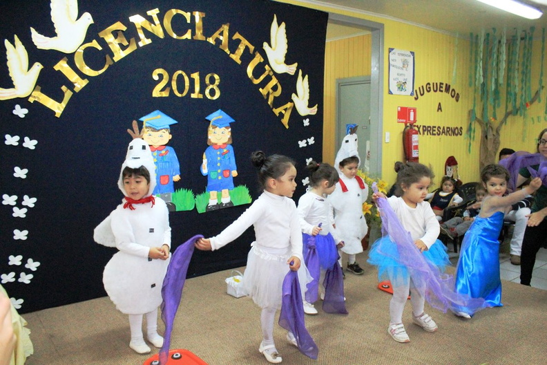 Licenciatura de egreso medio mayor fue realizada en el jardín infantil Petetin 09-01-2019 (50)