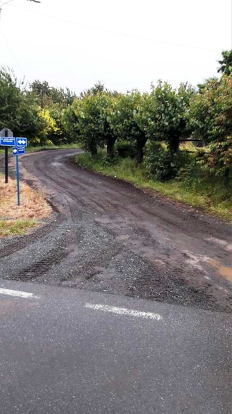 Reparación de caminos vecinales 10-01-2019 (4).jpg