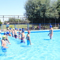 Clases de natación para niños de 7 a 11 años 15-01-2019 (5)