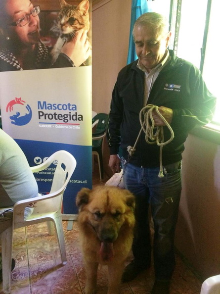 Operativo Mascota Protegida pronto a terminar ha visitado diferentes sectores de Pinto 17-01-2019 (25)