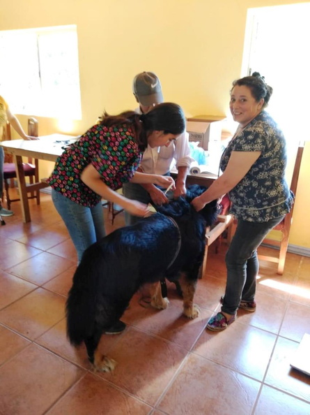 Operativo Mascota Protegida pronto a terminar ha visitado diferentes sectores de Pinto 17-01-2019 (42)