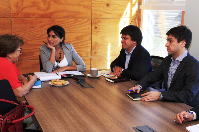 Gobernación del Diguillín realizó atención ciudadana en dependencias de la I. Municipalidad de Pinto 29-01-2019 (4)