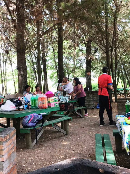 Niños y niñas de la Escuela de Verano viajan a Quillón en su última actividad 13-02-2019 (9).jpg