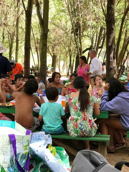 Niños y niñas de la Escuela de Verano viajan a Quillón en su última actividad 13-02-2019 (11).jpg