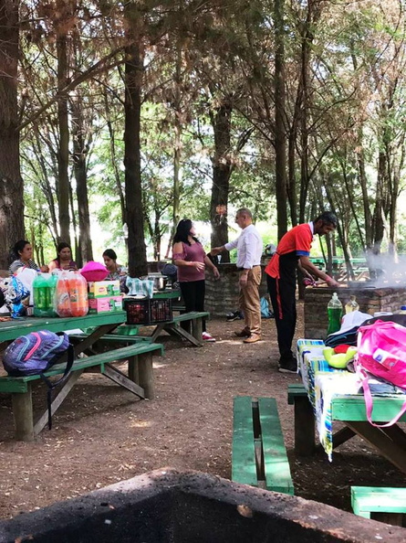 Niños y niñas de la Escuela de Verano viajan a Quillón en su última actividad 13-02-2019 (14)