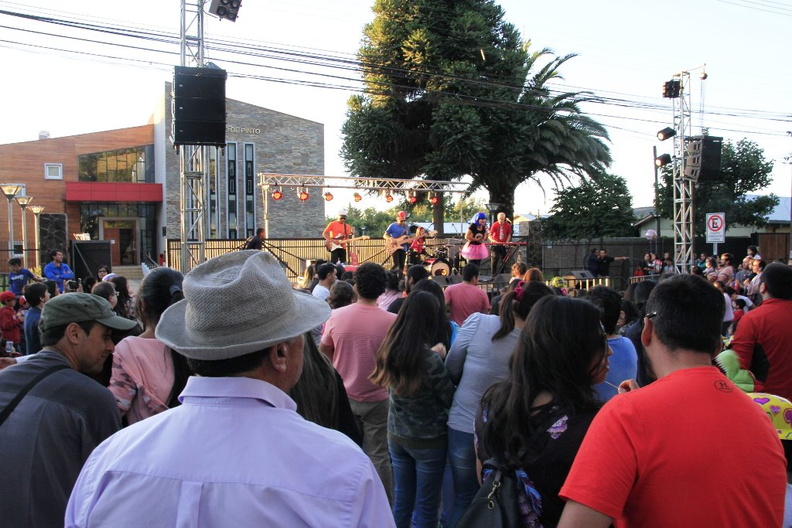 Banda musical y educativa Cantando Aprendo a Hablar cierra las actividades de verano en Pinto 24-02-2019 (33)