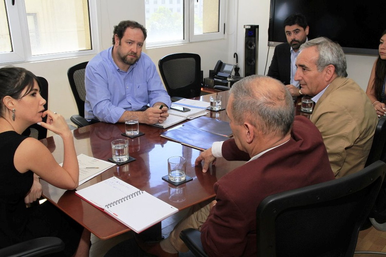 Alcalde Manuel Guzmán Aedo se reunió con la Subsecretaria de Prevención del Delito 25-02-2019 (6)