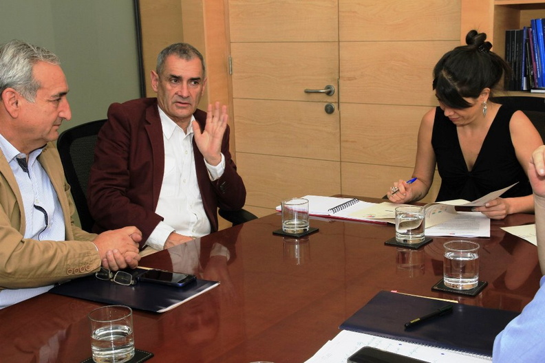 Alcalde Manuel Guzmán Aedo se reunió con la Subsecretaria de Prevención del Delito 25-02-2019 (9).jpg