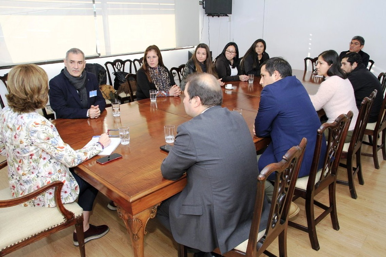 Autoridades y representantes se reunieron con la Ministra de Educación en la ciudad de Santiago 09-07-2019 (5)