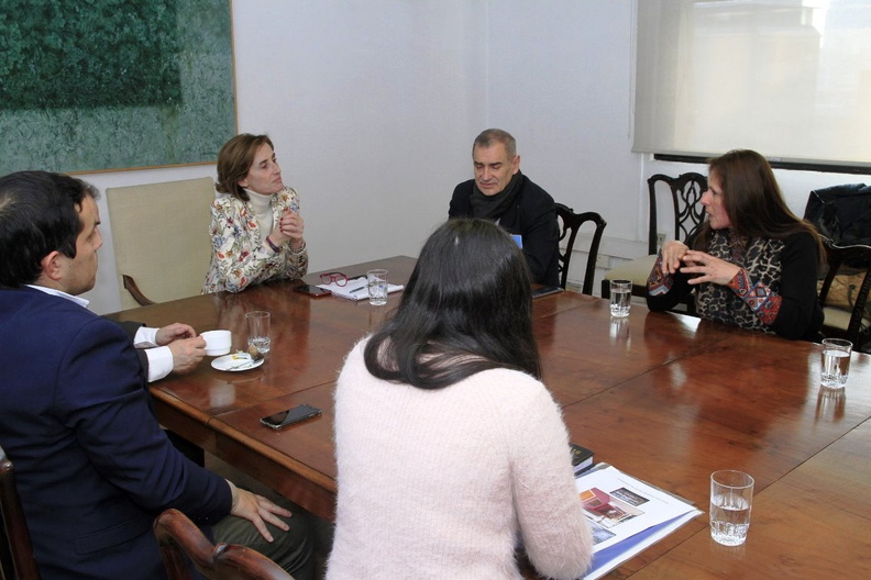 Autoridades y representantes se reunieron con la Ministra de Educación en la ciudad de Santiago 09-07-2019 (10).jpg