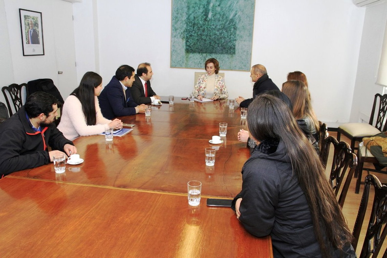 Autoridades y representantes se reunieron con la Ministra de Educación en la ciudad de Santiago 09-07-2019 (17)