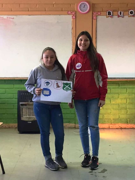 Voluntariado de la Universidad de Concepción realizó Escuela de invierno en Pinto  25-07-2019 (15).jpg