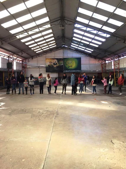 Voluntariado de la Universidad de Concepción realizó Escuela de invierno en Pinto  25-07-2019 (16).jpg