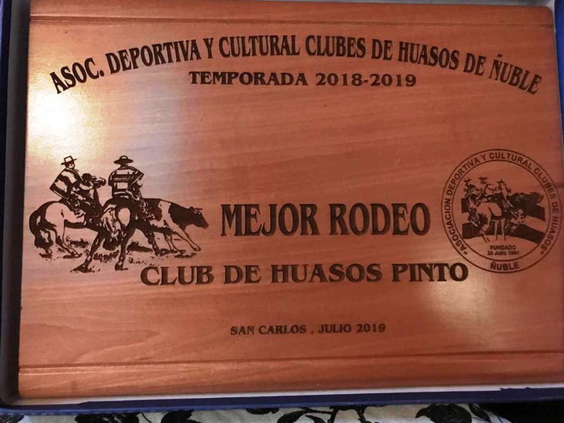 Cena de aniversario de la asociación deportiva y cultural del club de huasos de Ñuble 28-07-2019 (7)